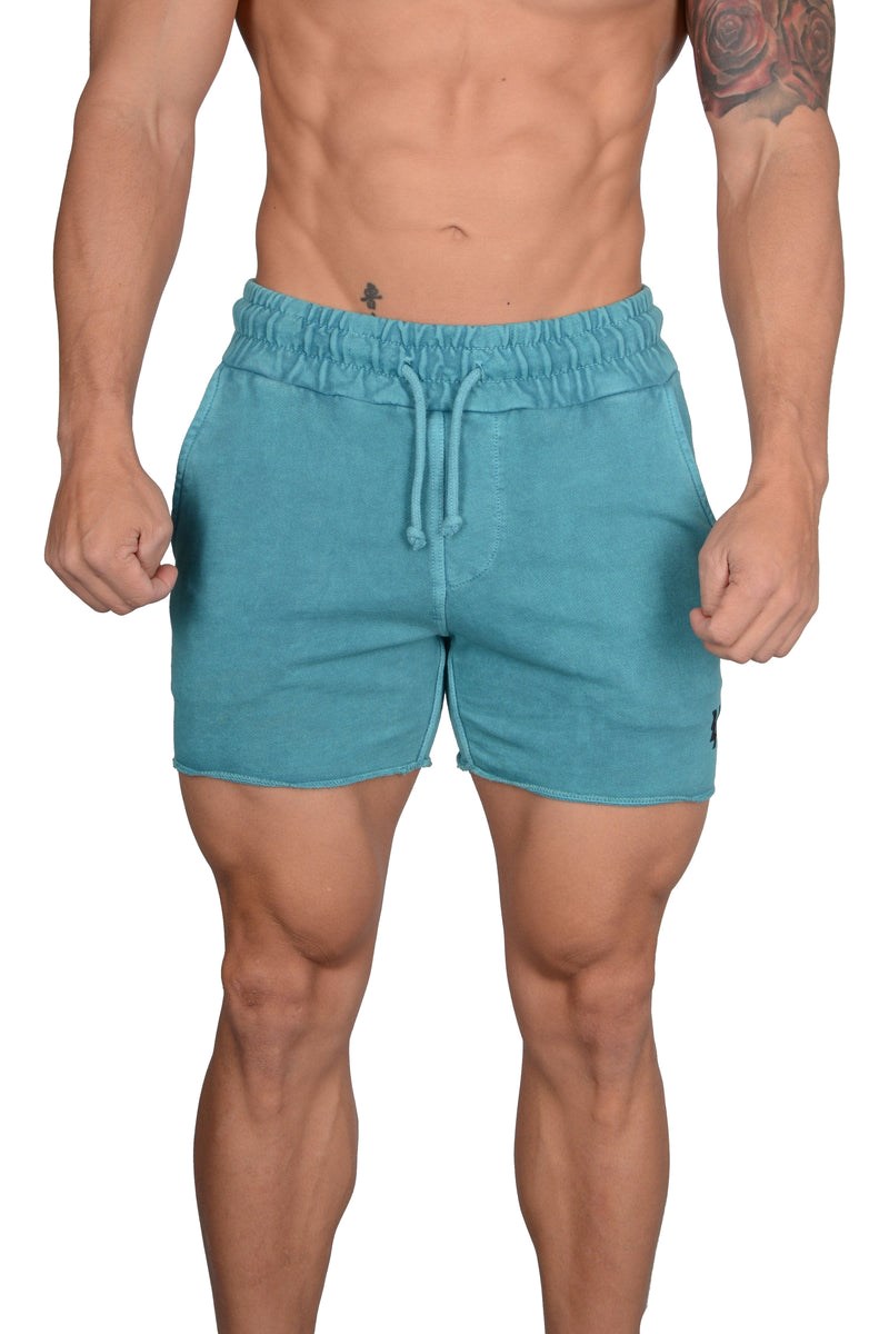 YoungLA 102 Bodybuilding French Terry Shorts Blankyt Světle Modré | OHPQ05326