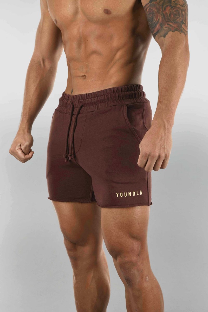 YoungLA 103 Shorts Pigment Washed Hnědé Blankyt Světle Modré | ESCH16073