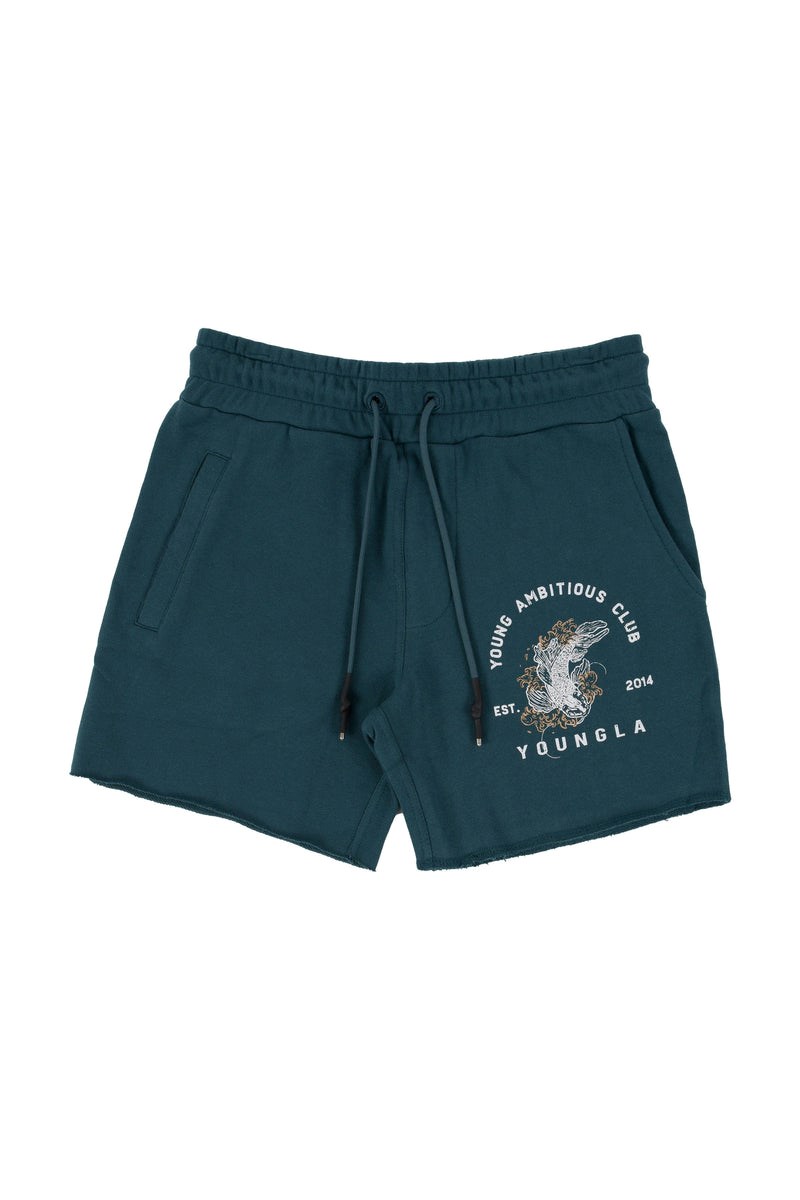 YoungLA 111 Dedication Krátké Shorts Teal | RWFY78306