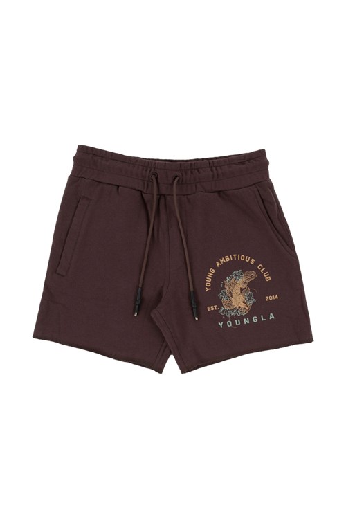 YoungLA 111 Dedication Krátké Shorts Hnědé | AMVC97603